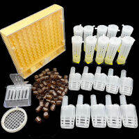 Queen rearing Kit ฝาครอบป้องกันพลาสติก hair Roller CAGE Anti Bite Bee Colony ขยาย Apis dyefera ไข่เซลล์ยอมรับ bo.x: