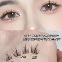 320 Cluster หนังสือที่เก็บข้อมูลความจุขนาดใหญ่ Lazy Trilogy Eyelashes Book Natural Comics Eye Fake Eyelashes Single Cluster Novice ~