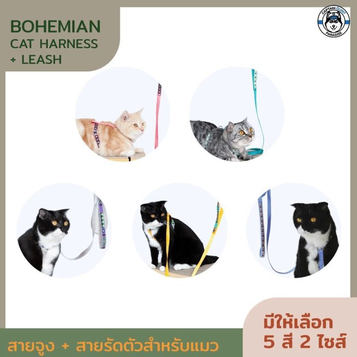 kafbo-สายรัดอกและสายจูงสำหรับแมว-สายจูงแมว-สายรัดอกแมว-cat-harness-leash-สายจูงสัตว์เลี้ยง-ปลอกคอและสายจูง