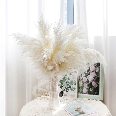 【cw】 1 Bunch 43cm Small Reed ImmortalizedBouquetDecoration CoffeeOrnament PampasReed Dry Flowers 【hot】