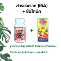 ( PRO+++ ) โปรแน่น.. ซันโทนิค+รูทซ่า 100cc ใช้ได้กับไม้เนื้อเยื่อ พืชใบด่าง ไม้ดอก ไม้ประดับ ไม้ผล พืชทุกชนิด ราคาสุดคุ้ม พรรณ ไม้ น้ำ พรรณ ไม้ ทุก ชนิด พรรณ ไม้ น้ำ สวยงาม พรรณ ไม้ มงคล