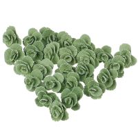 5Pcs Cauliflower Chinese Cabbage Green Mini Small Doll House Mini Cute Handmade Polymer Clay Vegetables 1:12 Dollhouse Nails Screws Fasteners