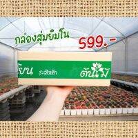 โปรดีล คุ้มค่า สายลุ้นทางนี้ คนรักยิมโนต้องจัด รับประกันความของพร้อมส่ง ของพร้อมส่ง พรรณ ไม้ น้ำ พรรณ ไม้ ทุก ชนิด พรรณ ไม้ น้ำ สวยงาม พรรณ ไม้ มงคล