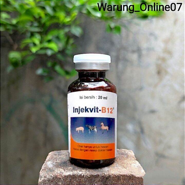 Fast Shipping Vitamin B12 Fighting Chicken To Meet The Needs Of Vitamin