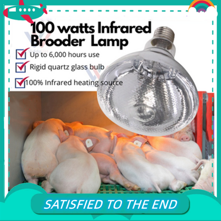 ViddavetBROODER Heat LAMP Bulb 100 watts for animals PETS PIGLETS