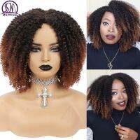 MSIWIGS Womens Short Afro Kinky Curly Wigs Ombre Brown Synthetic Middle Part Nature Hair Black Daily Party Headgear with Clips Hand Tool Parts Access