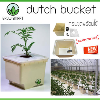 Grow Smart Dutch bucket Bato bucket Drip irrigation recirculating hydroponic system bucket ถังปลูกไฮโดรโปรนิกส์ ระบบน้ำวน ถังปลูกกัญไฮโดร ถังปลูกกัญ ปลูกเมล่อน ปลูกมะเขือ