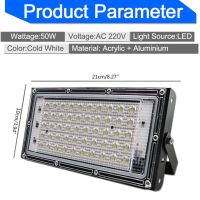 LED Floodlight Outdoor Spotlight 50W Wall Washer Lamp Reflector IP65 Waterproof Lighting Garden RGB Flood Light AC 220V 240V