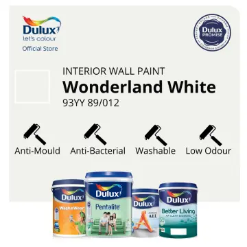 Dulux Wash - Best Price in Singapore - Jan 2024