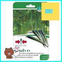 เมล็ดพันธุ์บวบงู F1 คอบราZUCCHINI SEED EAST-WEST SEED COBRA F1 **ราคาดีที่สุด**