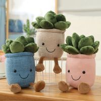 Succulent Plush Toy Lifelike Succulent Plants Plush Stuffed Decor Toy Potted Flowers Pillow Soft Fluffy Plant Hugging Cushion