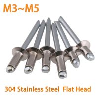 304 Stainless Steel Open End Flat Countersunk Pop Blind Rivets Decorative Nail for Sheet Metal Automotive Railway and Furnitures