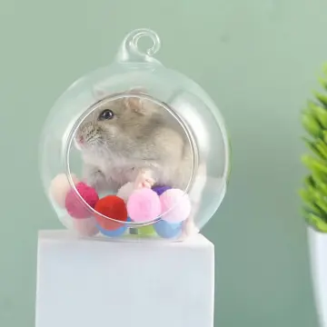 Hamster discount glass condo