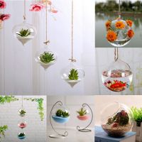 hot【cw】 Hanging Pot Glass Vase Terrarium Wall Aquarium