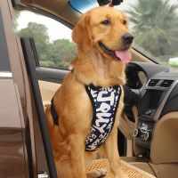 Adjustable Car Dog Safety Vest Harness with Safety Belt for Most Car  Travel Strap Vest with Car Seat Belt For Pets Dog Collars