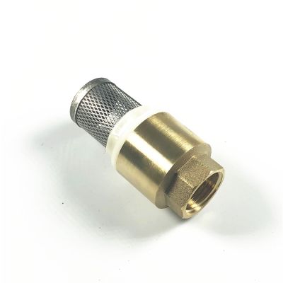 QDLJ-Brass One Way Valve Check Valve Non Return With Strainer Filter 1/2" Bspt Female Threaded