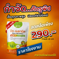 บิวเมาธามิค   2 IN 1 เชื้อบิวเวอร์เรีย + เชื้อเมธาไรเซียม ชนิดผง(500กรัม) เพาะเชื้อจากห้อง LAB พร้อมใช้ ปลอดภัย 100 % 1ซอง