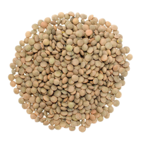 ถั่วเลนทิล สีน้ำตาล 1 กิโลกรัม - Brown Lentils 1kg