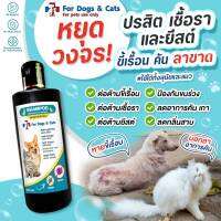 ? พร้อมส่ง ? แชมพูขี้เรื้อน 120 ml. หยุดวงจร ปรสิต เชื้อรา ขี้เรื้อน ยีสต์ อาการคัน สารสกัดหลักจากธรรมชาติ ใช้ได้ทั้งสุนัขและแมว