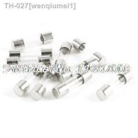 ❀❂ 10pcs Quick Fast Blow 5x20mm Glass Tube Fuses 250V 80mA