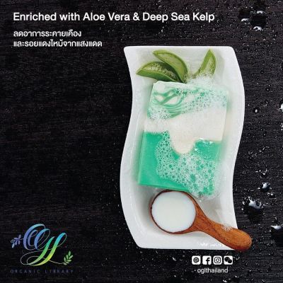 OGL Organic Library สบู่น้ำมันธรรมชาติ ว่านหางจระเข้และสาหร่ายทะเล Aloe Vera and Seaweed Natural Oil Bar Soap (120g)