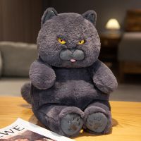 30-60Cm Kawaii Black British Shorthair Cat Plush Toy Stuffed Animal Pussy Blue Grey Cat Soft Doll Cute Gift For Student Children