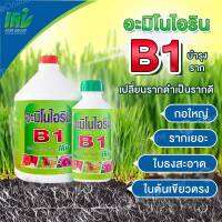 อะมิโนไอริน B1 ขนาดบรรจุขวด 1,000 ซีซี และขนาดแกลลอน 4 ลิตร