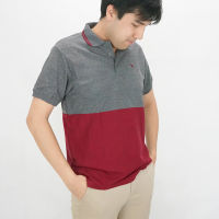 ?ลดล้างสต้อก? POLOLAND เสื้อโปโลชายทรงตรง รุ่นสองท่อน - สีคอนกรีต-ไวน์ (+2 สี)