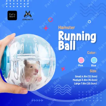 Guinea pig running sales ball