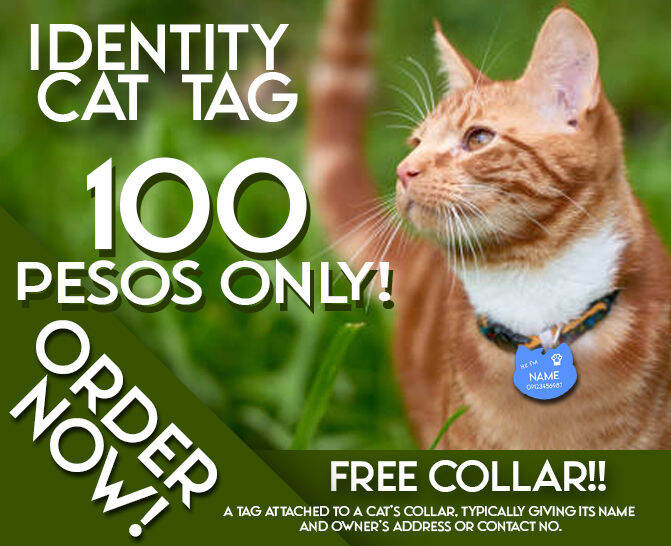 CAT TAG WITH FREE COLLAR AND BELL CAT NAME TAG PERSONALIZED CAT TAG