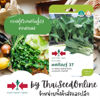 GGEW เมล็ดพันธุ์ซฟ กวางตุ้งต้นทศกัณฑ์37 ตราศรแดง เขียวกวางตุ้ง กวางตุ้งใบ กวางตุ้งต้น