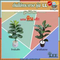 ต้นไทรใบสัก/ยางอินเดีย พร้อมกระถาง + หิน ! "รุ่น LL" สูง 60 ซม.( ต้นยางอินเดีย / ต้นไทรใบสัก ) #ต้นไม้ปลอมแต่งบ้าน Leeartplants สินค้ามีจำนวนจำกัด