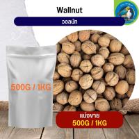 สุดยอด WallNut วอลนัท อาหารนก กระต่าย หนู กระต่าย กระรอก ชูก้า และสัตว์ฟันแทะ (แบ่งขาย 500G / 1KG)