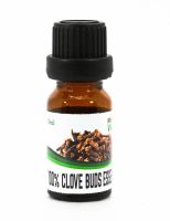 Clove Buds Essential Oil น้ำมันหอมระเหย กานพลู 10ml