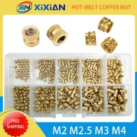 3D Printer Plastic Insert Nut M2 M2.5 M3 M4 Brass Set Threaded Insertion Hot Melt Knurled Double Twill Embedded Heat Press Nuts Nails Screws Fasteners