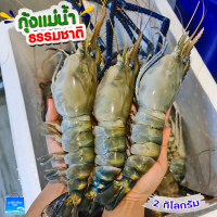 กุ้งแม่น้ำจัมโบ้ ส่งฟรี 2 กิโล มันเยอะๆเยิ้มๆ