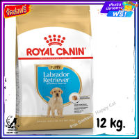 ส่งรวดเร็ว ? Royal Canin Labrador Retriever Puppy รอยัลคานิน ลูกสุนัข พันธุ์ลาบราดอร์ รีทรีฟเวอร์ ขนาด 12 kg.  ✨