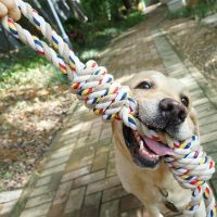 ◕♘△ 60CM Pets Toys Bite Molar Tooth rope dog toy for large dogs rottweiler dog toys Golden Retriever Chewing Teeth big Toys WF1015