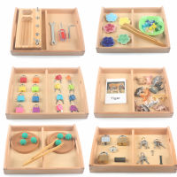 Montessori ของเล่นไม้ถาดไม้ Montessori เฟอร์นิเจอร์วัสดุการศึกษาสำหรับครูของเล่นเด็ก3ปี C66W ~