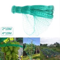 Deer Fence Reusable 2m/4mx10m Bird Netting Fruit Plant Garden Pond Mesh Garden Accessories Anti Bird Protect Tree Net