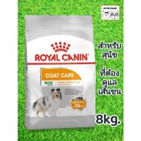 [ลด50%] royal canin Mini Coat Care 8Kg. โรยัลคานิน อาหารเม็ดสำหรับสุนัขโต พันธุ์เล็ก ที่ต้องการดูแลสุขภาพเส้นขน 10 เดือนขึ้นไป