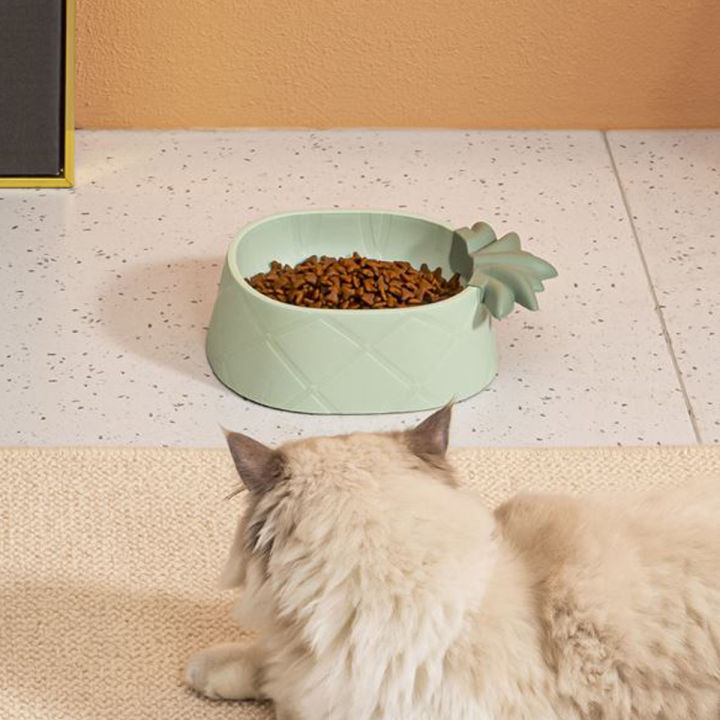 ชามสัปปะรด-ชามหมา-จานแมว-จานสัตว์เลี้ยง-pet-bowl-ที่ให้อาหารสัตว์เลี้ยง