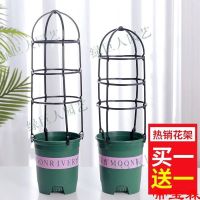 [COD] [Buy one get free] Gardening climbing rattan flower stand balcony clematis fragrance bracket vine plant