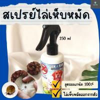 เห็บหาย!! สเปรย์ไล่เห็บ-หมัด 250 ml ป้องกันเห็บ-หมัด ฉีดไล่เห็บหมัดตามตัวสุนัข ตามบ้านได้ กลิ่นตะไคร้หอมช่วยกันยุง สารสกัดจากธรรมชาติ