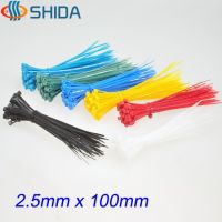 1000pcs 2.5*100mm Plastic Nylon Zip Ties  Colorful Wire Organizer Cable Ties for Computer Wire Management Cable Management