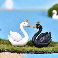 2pcs/lot DIY Swan Black White Cygnus Goose Lake Model Statue Figurine Micro Crafts Ornament Miniatures