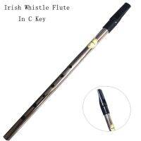 ขลุ่ยนกหวีดไอริช Feadan ดีบุก C Key Flauta 6หลุม Pennywhistle Ireland ลมมินิเครื่องดนตรี Ss1-3