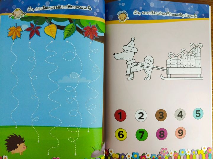หนังสือเด็ก-เสริมทักษะ-เด็กปฐมวัย-แบบฝึกเสริมทักษะ-ลีลามือ-วาดรูป-ระบายสี
