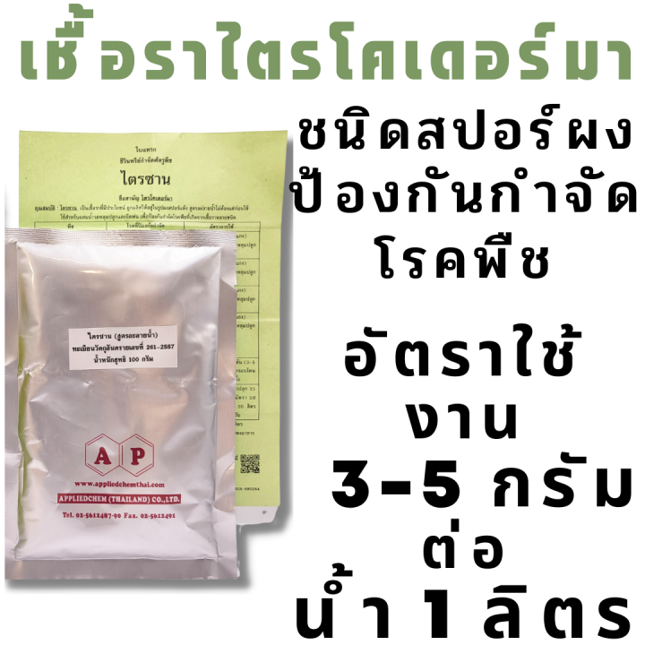 ไตรซาน-เชื้อไตรโคเดอร์มา-ประสิทธิภาพสูง-กำจัดโรคพืช-ราก-โคนเน่า-ใบจุด-ไหม้-กุ้งแห้ง-เน่าคอดิน-trichoderma