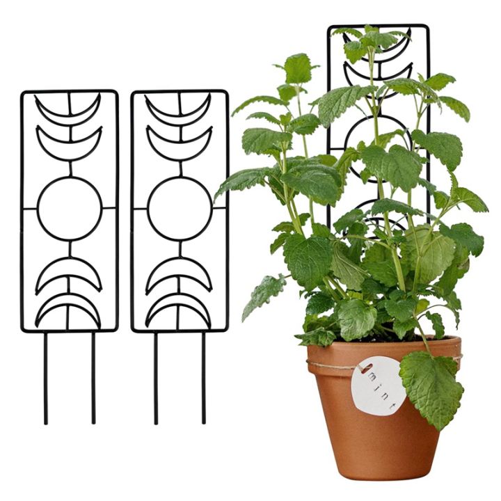 2-pack-metal-plant-trellis-for-climbing-plants-indoor-phase-houseplant-trellis-gold